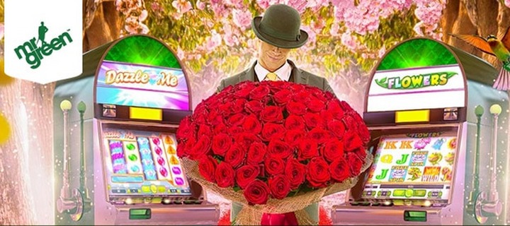 Flowers is in the Reels at Mr Green Casino
