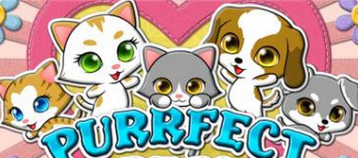 Purrfect Pets New Video Slot Machine from RTG