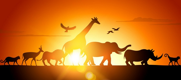 Set Off on Safari and Win Your Share of 20000 in Cash Prizes at Bgo Casino