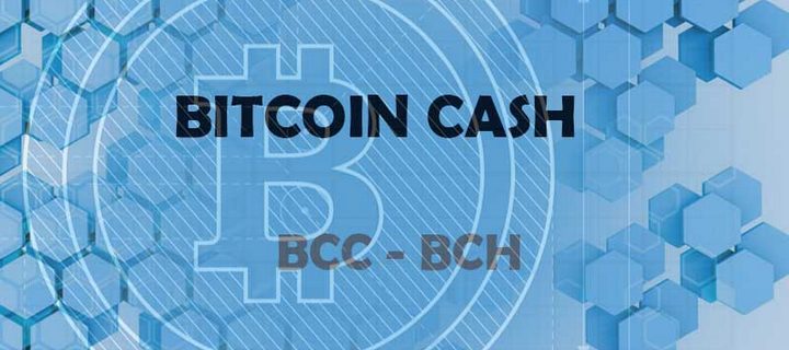 Bitcoin Cash New Payment Method