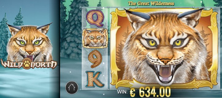 Wild North New Slot Game by PlayN Go