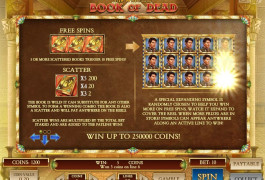 Book_of_Dead_Slot_Scr3.jpg