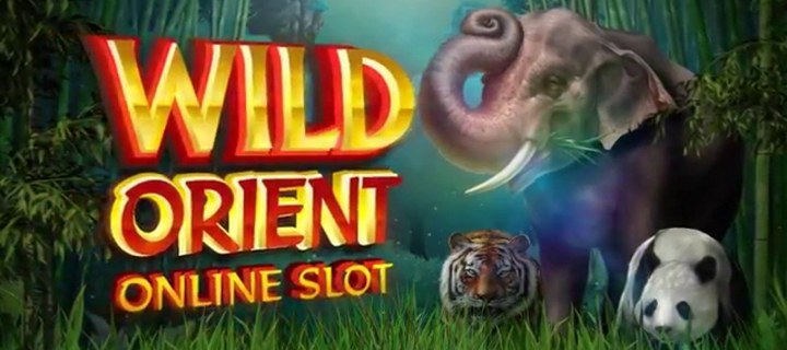 Wild Orient Slot