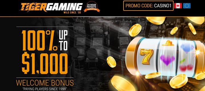 Tiger Gaming Casino with Profitable Welcome Bonus up to $1000